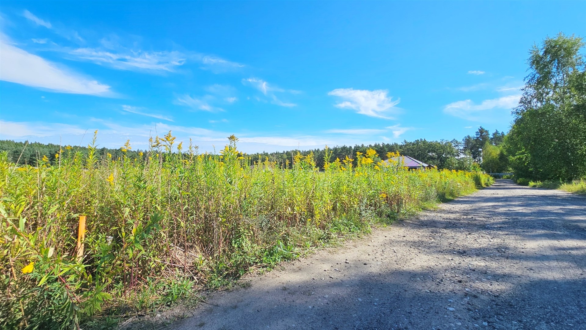 Działka na sprzedaż